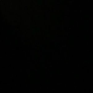 Meet your Posher, Kelsi